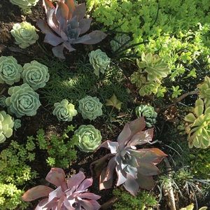 Welcome! Check out my closet!